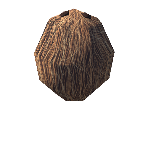 coconut 1